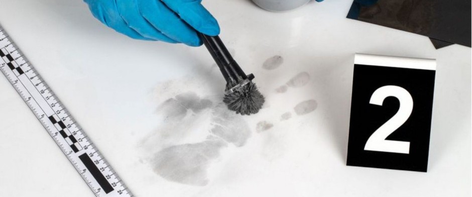 POLIC&Iacute;A CIENT&Iacute;FICA Y CRIMINAL&Iacute;STICA NIVEL 1 (36 HORAS)