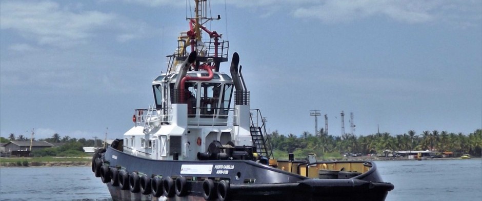 MANUAL DE OPERACIONES Y SERVICIOS PORTUARIOS NIVEL 3 (160 HORAS)