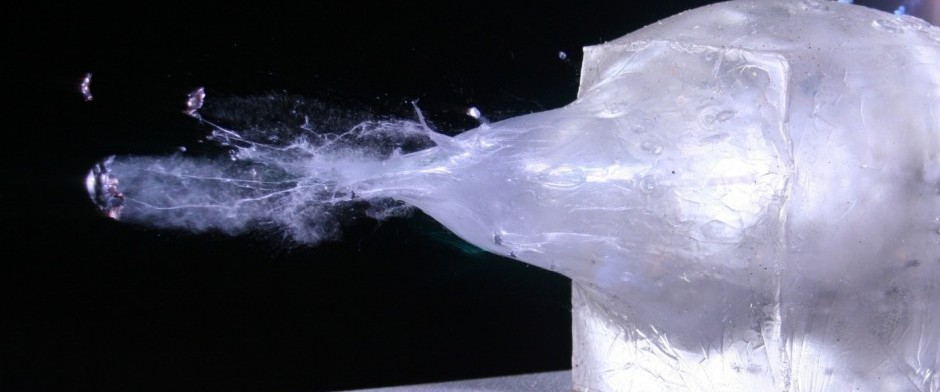 BAL&Iacute;STICA POLICIAL NIVEL 1 (36 HORAS)